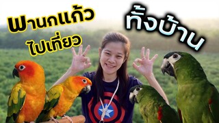 VLOG : พานกทั้งบ้านเที่ยวเขาใหญ่ ปล่อยบินอิสระ