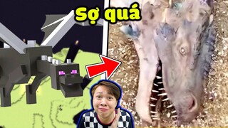 Minecraft Vinh Trồng Cây Rồng Ender ?? Xuất Hiện RỒNG HÓA THẠCH Tại Khu Nông Trại 😱