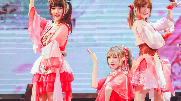 【Shenlong Girls Group】❀桃花笑❀ | Little idols bouncing around on the performance stage~