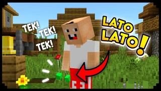 LATO-LATO DI MINECRAFT!