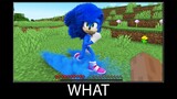 Minecraft wait what meme part 209 realistic minecraft Sonic the hedgehog 3