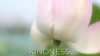 kindness