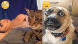 Here Are Some Hilarious Pets, Just To Make Your Day Better ðŸ¥°
