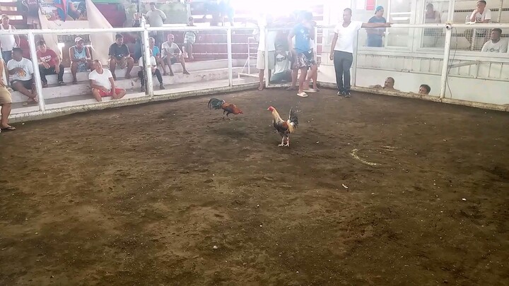 (L)tulog.props sa kalaban magaling at kalakas