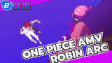 [One Piece / Robin Arc] For You, I Dare to Fight Against the Whole World_2