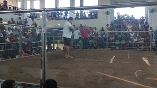 BAPPI-FIGBA LOCAL ELIMS DAY CHAMP- 1ST FIGHT (9/8/23)@Bolinao Coliseum