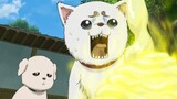 Cảnh nổi tiếng trong Gintama nơi bạn cười nhiều đến mức bật khóc (56)