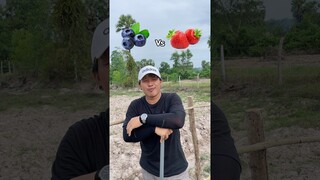 ชอบกินผลไม้อะไรมากที่สุด🫐🍓⁉️ #challenge #fruit #ผลไม้ #ฝากติดตาม #มิสเตอร์แมน #เอ็นจอยคับผม #viral