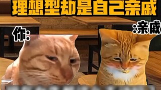 "Nhà hát Cat Meme" Khi bạn phát hiện ra mẫu người lý tưởng của mình chính là người thân!