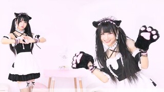 【Chu Yuan】fall in love ❤Your exclusive cat ear maid