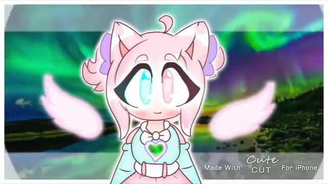 HP Meme Loli The Neko Cat/Loli's Wonders Gacha