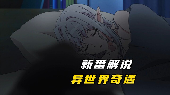 男人做梦就能穿越，从异世界带回精灵