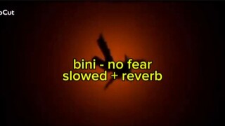 bini - no fear (slowed + reverbed)