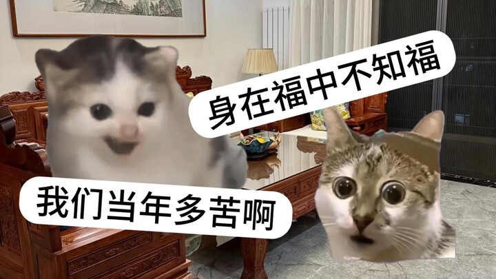 当父母说自己没赶上好时候