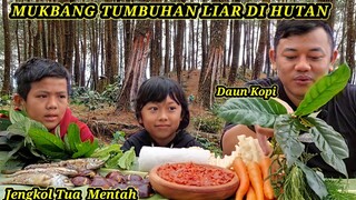 MUKBANG LALAPAN JENGKOL TUA MENTAH SAMBAL TERASI IKAN TONGKOL + TUMBUHAN LIAR #makanjengkol  #asmr