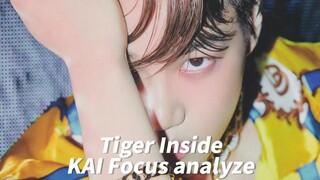 【金钟仁KAI】“他是最契合这个老虎概念的人”
