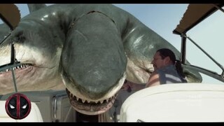 Cười Tuột Quần Với 10 Phim Cá Mập Siêu Bựa| Comedy Shark Movie