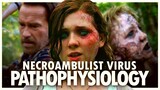 MAGGIE EXPLAINED - The Necroambulist Virus Explored | A Zombie Disease that Actually Follows Rules