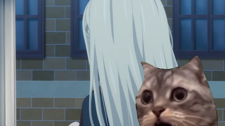 [Cat Meme] Ai chưa xem anime Bang Bang lần đầu xem mygo (1)