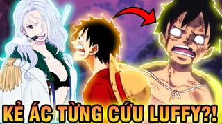 HẢI QUÂN CỨU LUFFY?! | NHỮNG PHẢN DIỆN LIÊN MINH VỚI LUFFY?!