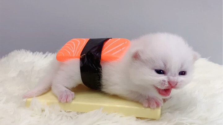 Ajari Anda langkah demi langkah cara membuat sushi kepala kucing yang manis dan lezat
