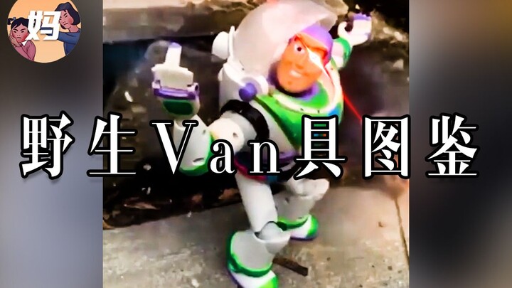 【野生人类图鉴】我从小van到大