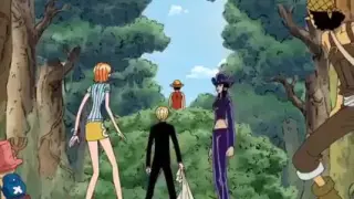 THE FUNNY DUEL  BETWEEN LUFFY AND ZORO.