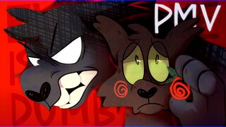 Everyone is dumb - WARRIOR CATS HOLLYLEAF PMV