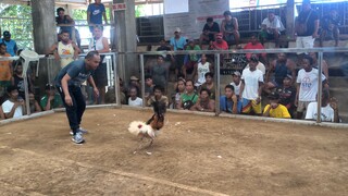 Laban ni tropa sa 3 hits F#3 DRAW. (Puti)