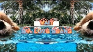 Wait - Love Beans Lyrics | Life of Music PH