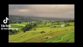 sakitnya sampai di kepala gue
