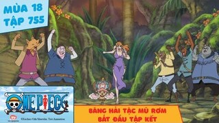 One Piece Tập 755: Băng hải tặc Mũ Rơm bắt đầu tập kết (Tóm Tắt)