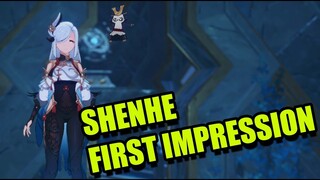 Shenhe GOOD AT ALL? Shenhe First Impression