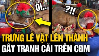 Dưng lễ vật TRÂU NGUYÊN CON, LỢN NGUYÊN CON, gà cua tôm mỗi thứ một mâm gây TRANH CÃI MẠNG XÃ HỘI