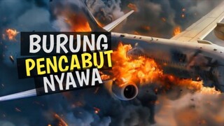 gara gara burung banyak orang yang mati