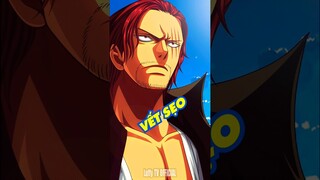 Câu đối thoại giữa Râu Trắng và Shanks gây hiểu lầm nhất One Piece