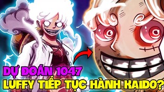 DỰ ĐOÁN OP 1047 | LUFFY TIẾP TỤC BÓN HÀNH KAIDO?! | ZORO THỨC TỈNH?!