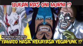 YAMATO BUKAN RAS ONI ASLI TETAPI HASIL EKSPERIMEN VEGAPUNK DAN TERKAIT BIGMOM!? [Komentar Nakama]