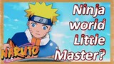 Ninja world Little Master?