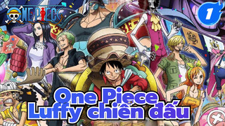 Tổng hợp cảnh chiến đấu của Luffy (Bản điện ảnh)_1