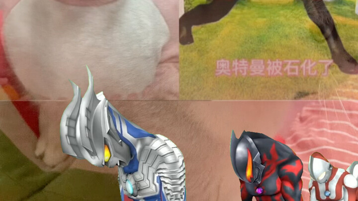 奥特曼都石化了