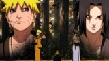 [Điều gì xảy ra khi Naruto gặp Paladin] Paladin: The Ninja's Fate