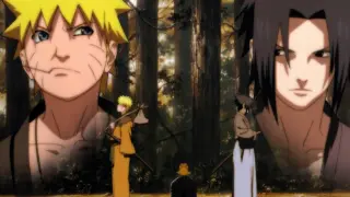 [What happens when Naruto meets Paladin] Paladin: The Ninja's Fate