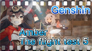 Amber The flight test 5