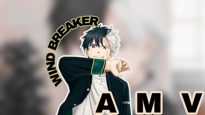 WIND BREAKER AMV