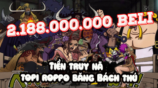 [Viver Card One Piece ] TIỀN Truy Nã KING Hỏa Hoạn & Các TOPI ROPPO Trong Băng HẢI TẶC Bách Thú !!!