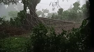 Ang lakas Ng kulog kidlat sa Baguio tanaw Mula d2 sa launion lapit lang kc kami eh