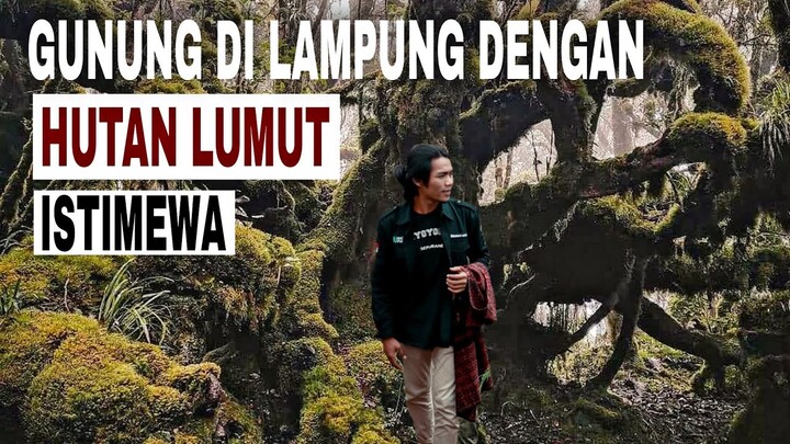 EXPEDITION OF MT TANGGAMUS || Gunung hutan lumut