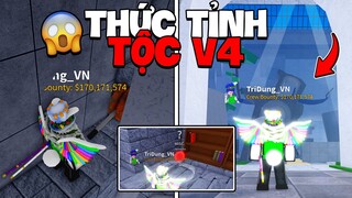 Roblox - Cách Thức Tỉnh TỘC V4 (Race Awakening) #2 Blox Fruit | Blox Fruits