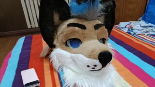 【fursuit兽装】委托展示，第一次做内置风扇